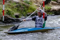 Kayak-CFSM-Metz-3008